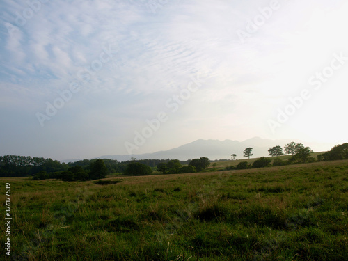 Hillside meadows