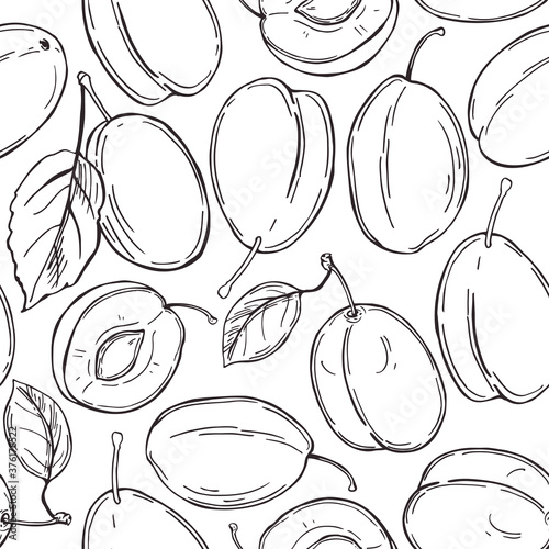 Plums on white background. Vector  pattern.