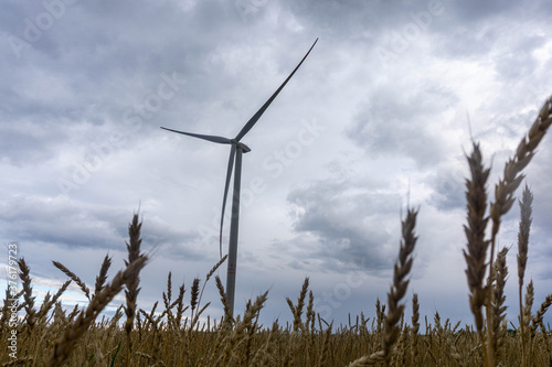 Wind turbine on a background of a gray sky among spikelets of wheat