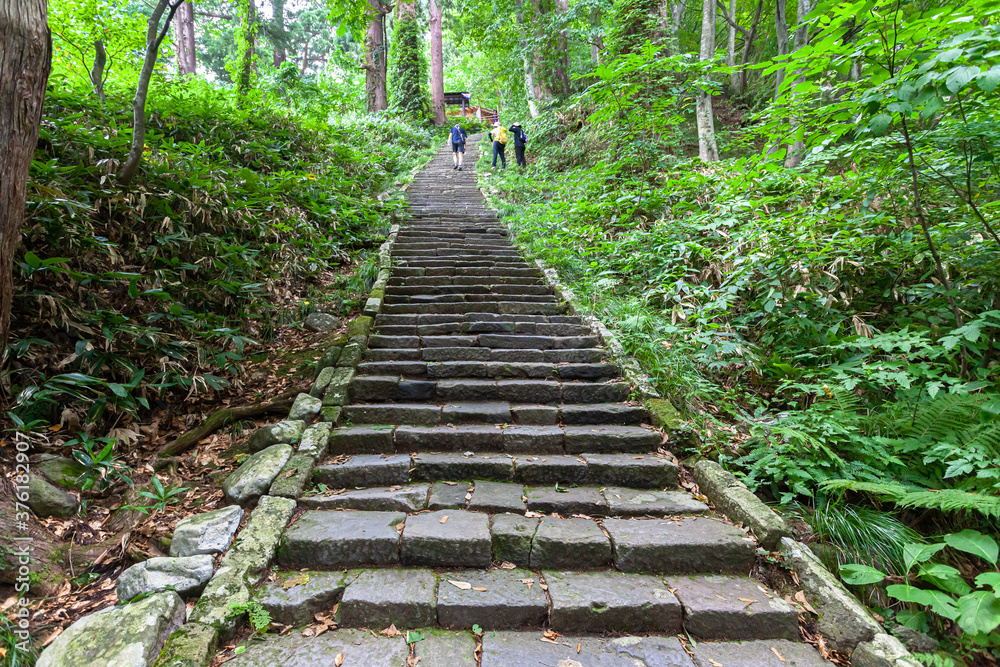 羽黒山参道杉並木と石段