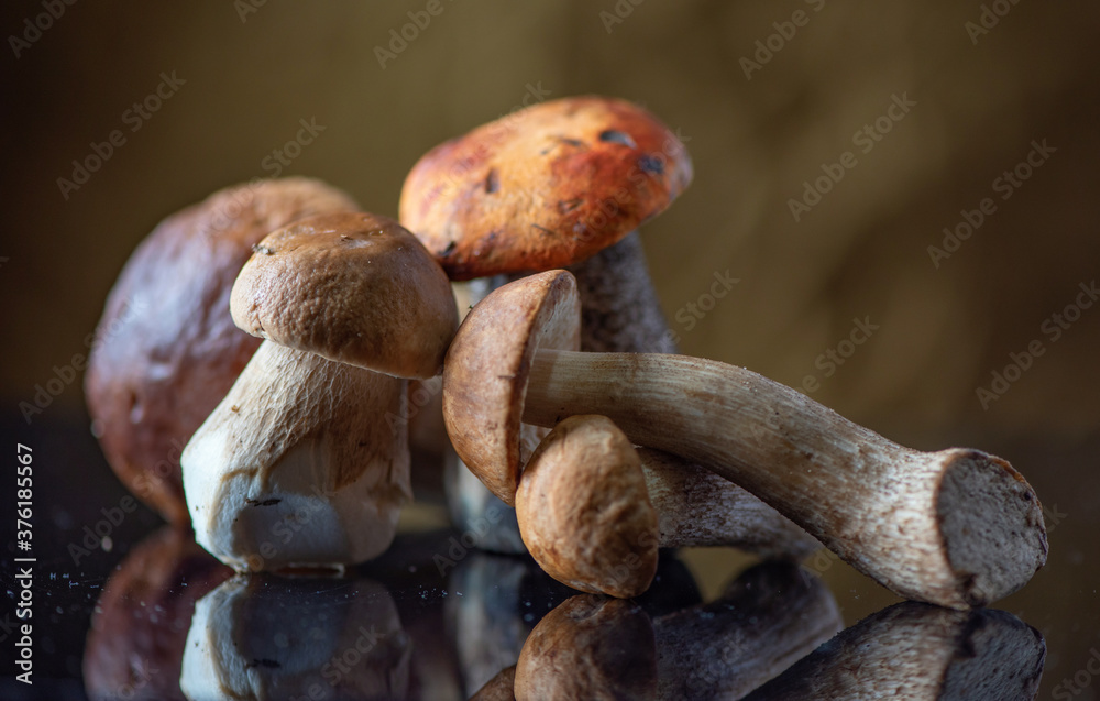 Forest edible boletus mushrooms in the studio close-up. Forest edible boletus mushrooms in the studio close-up.