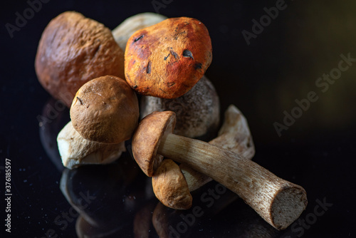 Forest edible boletus mushrooms in the studio close-up.
