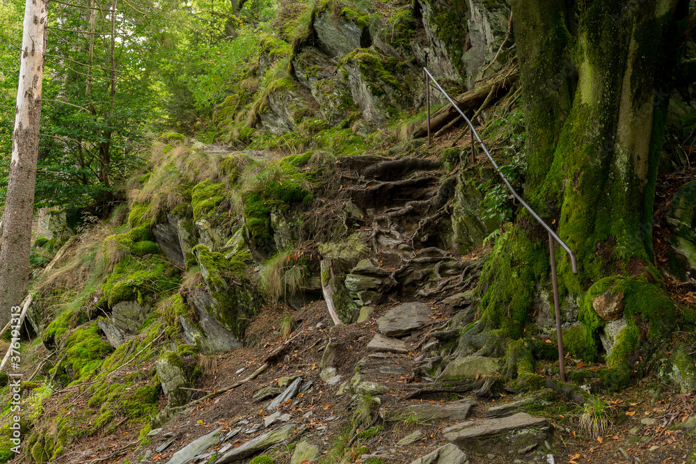 Forrest path near the german village Monschau Forrest path near the german village Monschau