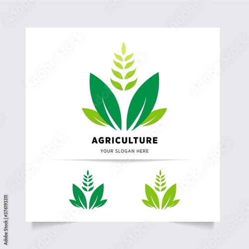 flat emblem logo design for Agriculture with the concept of green leaves vector. Green nature logo used for agricultural systems, farmers, and plantation products. logo template.