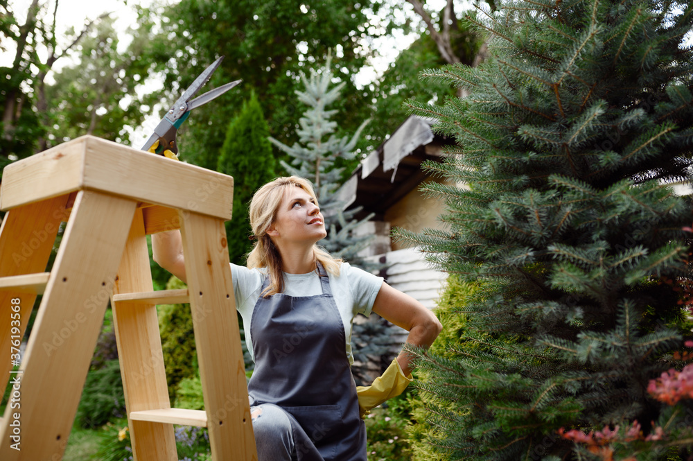 Naklejka premium Woman with pruners climbs the stairs in garden