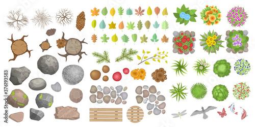 Vector set. Objects of a forest or park. Top view. Stumps, trees, bushes, grass, stains, stones, leaves, mushrooms, berries isolated on a white background. View from above.