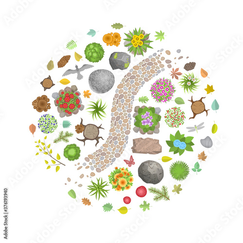 Walkway in a forest or park. Top view. Stumps, trees, bushes, grass, stains, stones, leaves, mushrooms, berries isolated on a white background. View from above.
