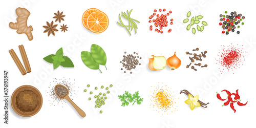 Collection of culinary spices. Top view. Spices scattered isolated on a white background. View from above.