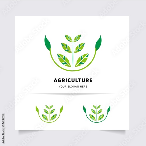 flat emblem logo design for Agriculture with the concept of green leaves vector. Green nature logo used for agricultural systems, farmers, and plantation products. logo template.