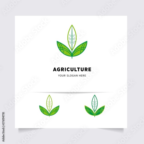 flat emblem logo design for Agriculture with the concept of green leaves vector. Green nature logo used for agricultural systems, farmers, and plantation products. logo template.