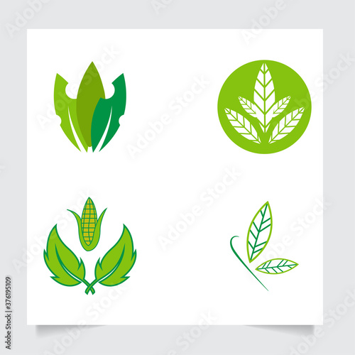 set collecrion flat emblem logo design for Agriculture with the concept of green leaves vector. Green nature logo used for agricultural systems, farmers, and plantation products. logo template.