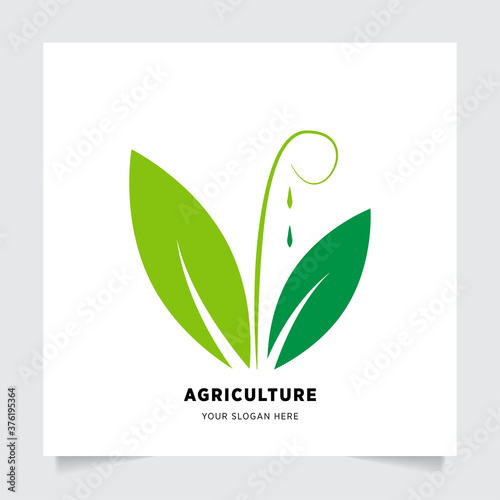 flat emblem logo design for Agriculture with the concept of green leaves vector. Green nature logo used for agricultural systems, farmers, and plantation products. logo template.