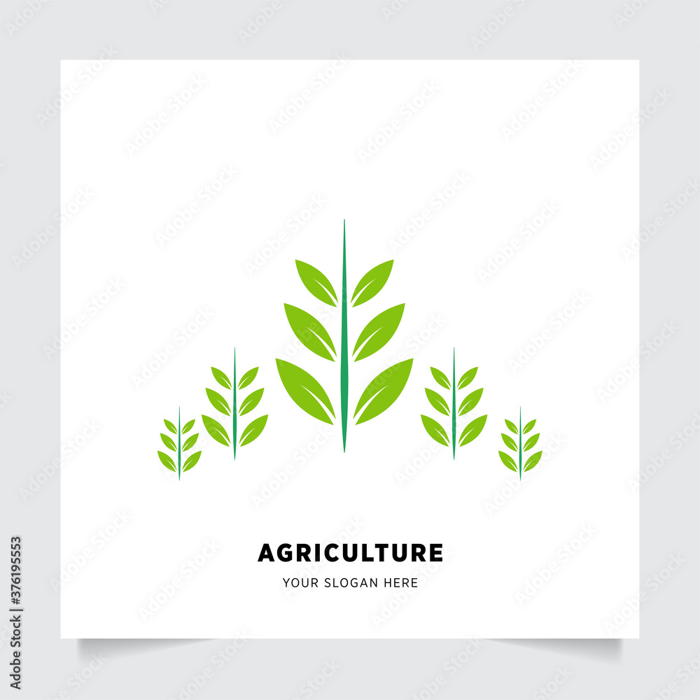 flat emblem logo design for Agriculture with the concept of green leaves vector. Green nature logo used for agricultural systems, farmers, and plantation products. logo template.