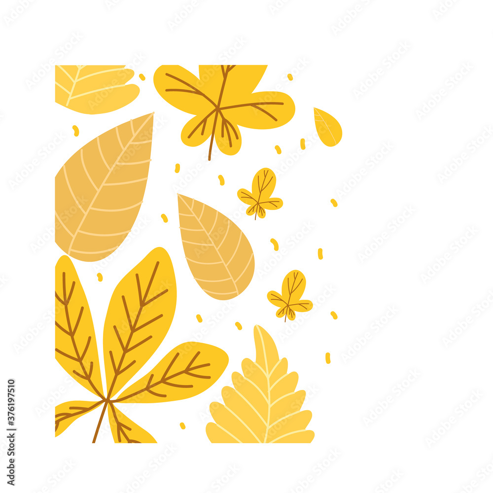 autumn season leafs plant colorful pattern decoration