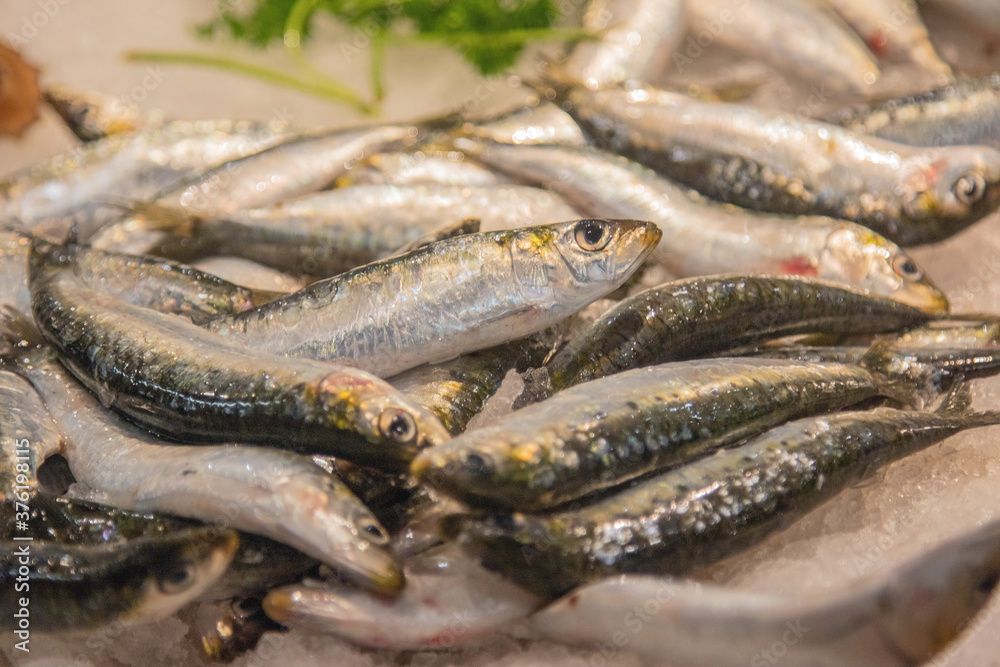 Marché aux poissons : Les sardines fraîches.