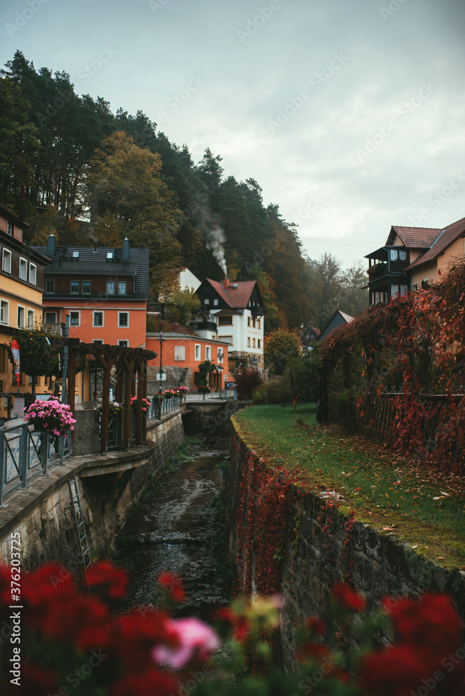 Obraz premium a fragment of a cozy colorful village in Germany and a view of a water canal with red flowers in the foreground