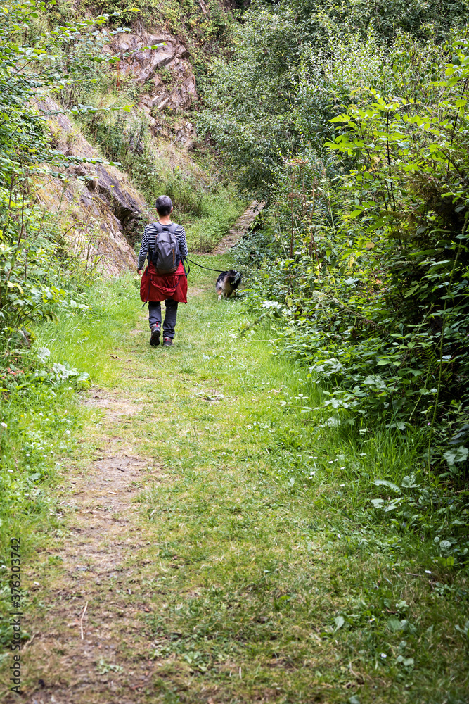 Walk in a park with dog Walk in a park with dog
