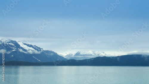 Island on Glacier Bay  Glacier Bay National Park  Alaska  USA