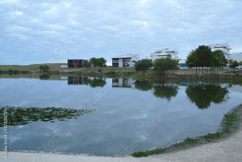 lake in the park