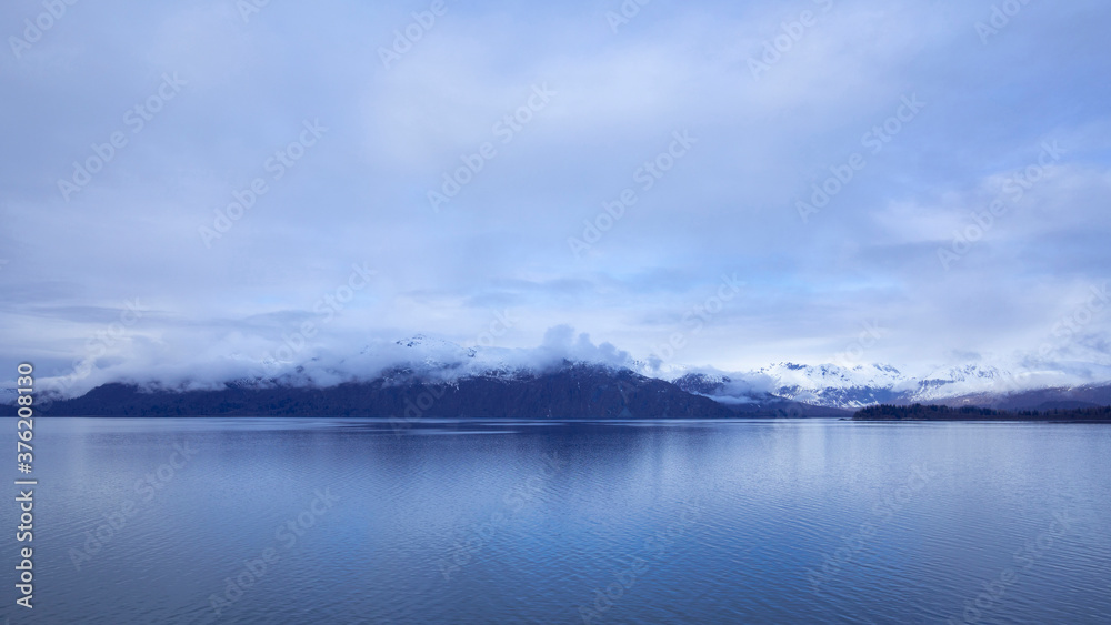 Fototapeta premium Island on Glacier Bay, Glacier Bay National Park, Alaska, USA