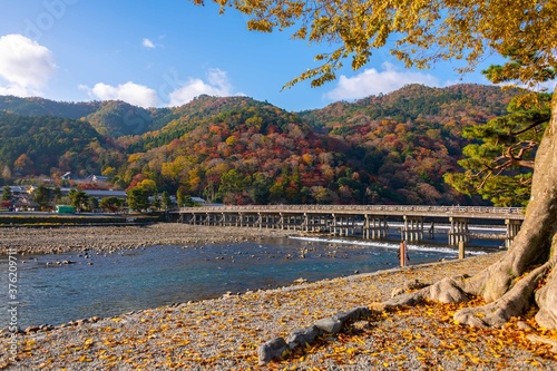 Fototapeta Naklejka Na Ścianę i Meble -  Togetsukyo Bridge in Arashiyama, Kyoto, Japan.