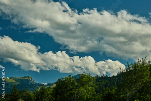 Berglandschaft in der Schweiz - gr  nes Weideland  Wald und Wolken in Kanton St. Gallen