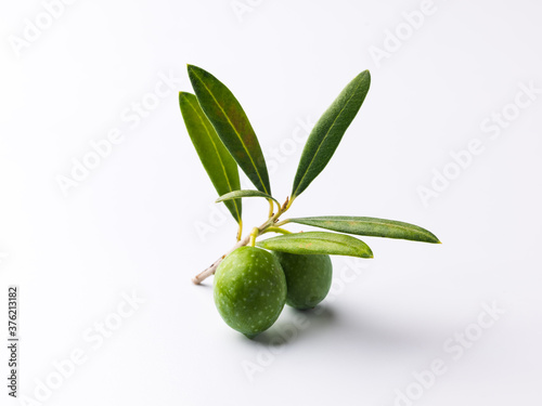 Wallpaper Mural Olive Torontodigital.ca