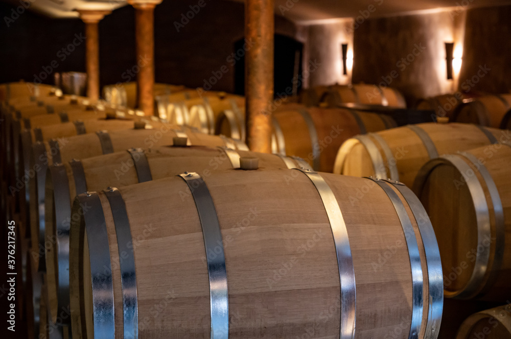 Cave with many  wine casks on wine domain in Cotes de Provence near Collobrieres , region Provence, south of France