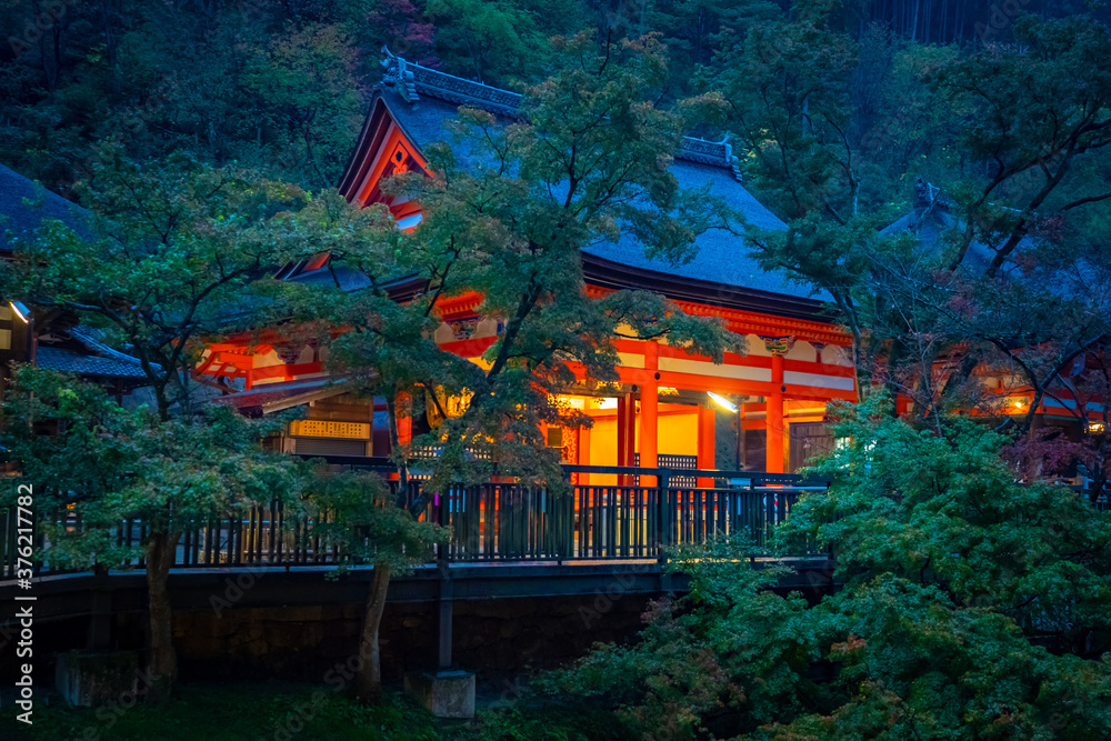Obraz premium Temple in Japan. Japanese Buddhist Temple Quest. Evening Japanese city. Travel to temples of Japan. Trees next to a Japanese-style building. Concept - travel through regions of Japan. Night.