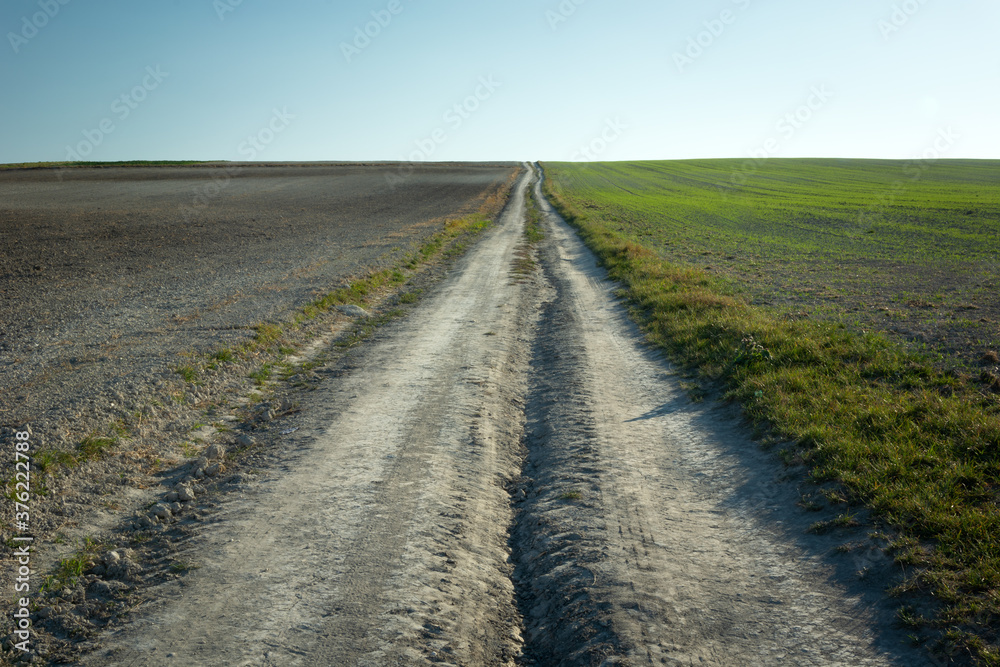 Naklejka premium Long ground road through fields, October view