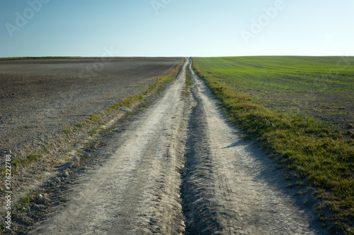 Long ground road through fields, October view