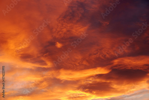 Obraz na plátne Dark blood red sky background