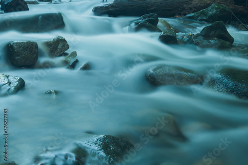 Fototapeta Naklejka Na Ścianę i Meble -  River in Beskidy mountain, Bielsko-Biala.