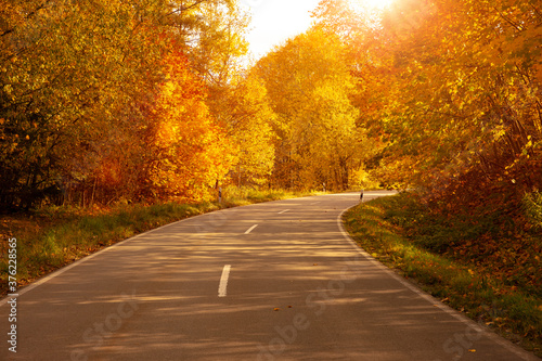 Landstrasse durch herbstlichen Laubwald