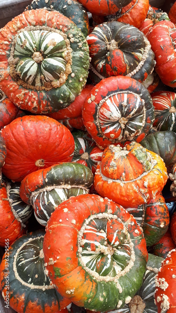 Pumpkin speciality on market