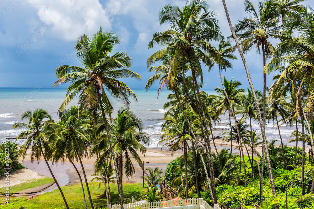 Nature of Goa - palm trees, admirable Arabian Sea, gentle sun and golden sand. Goa, India.