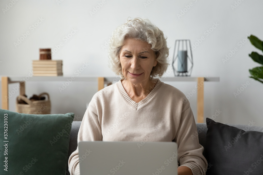 Interested mature woman using laptop, sitting on cozy couch at home, satisfied positive middle aged female looking at screen, chatting or shopping online, browsing internet, making video call Interested mature woman using laptop, sitting on cozy couch at home, satisfied positive middle aged female looking at screen, chatting or shopping online, browsing internet, making video call