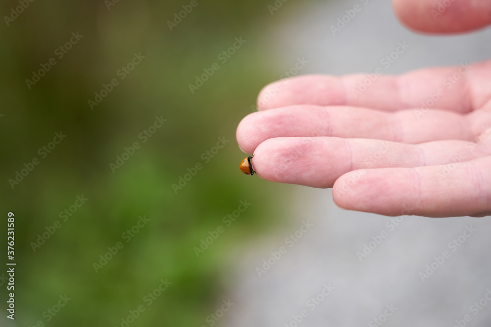 Ladybug on a hand of a man in natural light. Copy space. Ladybug on a hand of a man in natural light. Copy space.