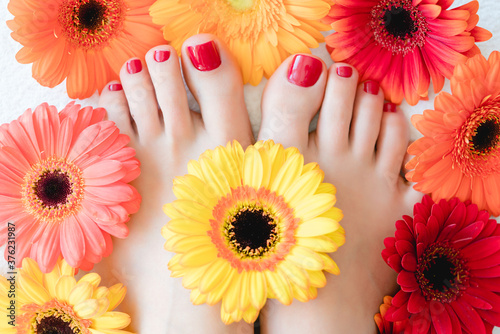 Toenails after pedicure with red nail varnish between flowers