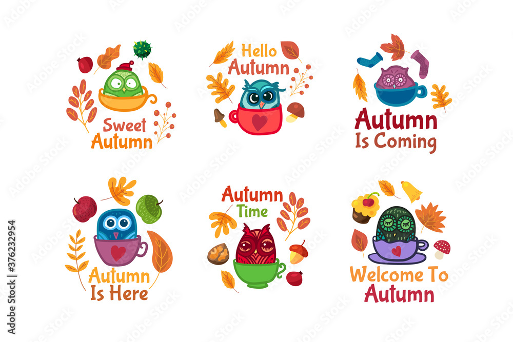 Hello autumn set of stickers with owls in cup