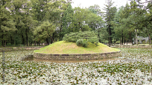 traditional korean garden 