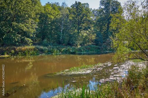 Scenic landscape with calm river and green vegetation.