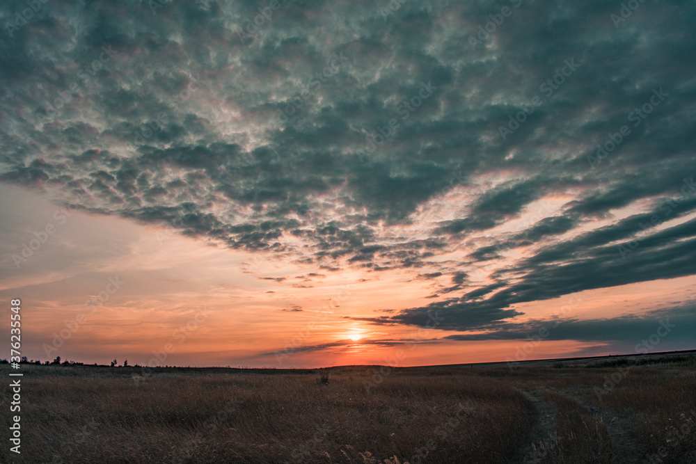 sunset over the field