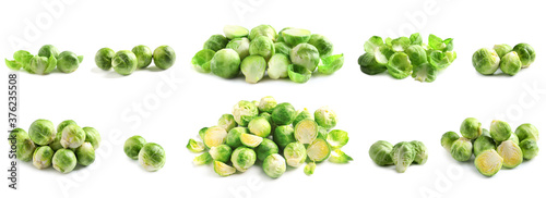 Set of fresh Brussels sprouts on white background. Banner design