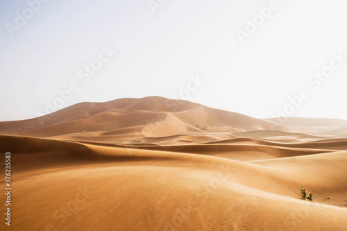 sand dunes in the desert of merzouga morocco. soft evening light. High sand dunes erg chebbi african sahara landscape. Extreme travel destinations. Scenic nature locations.  photo