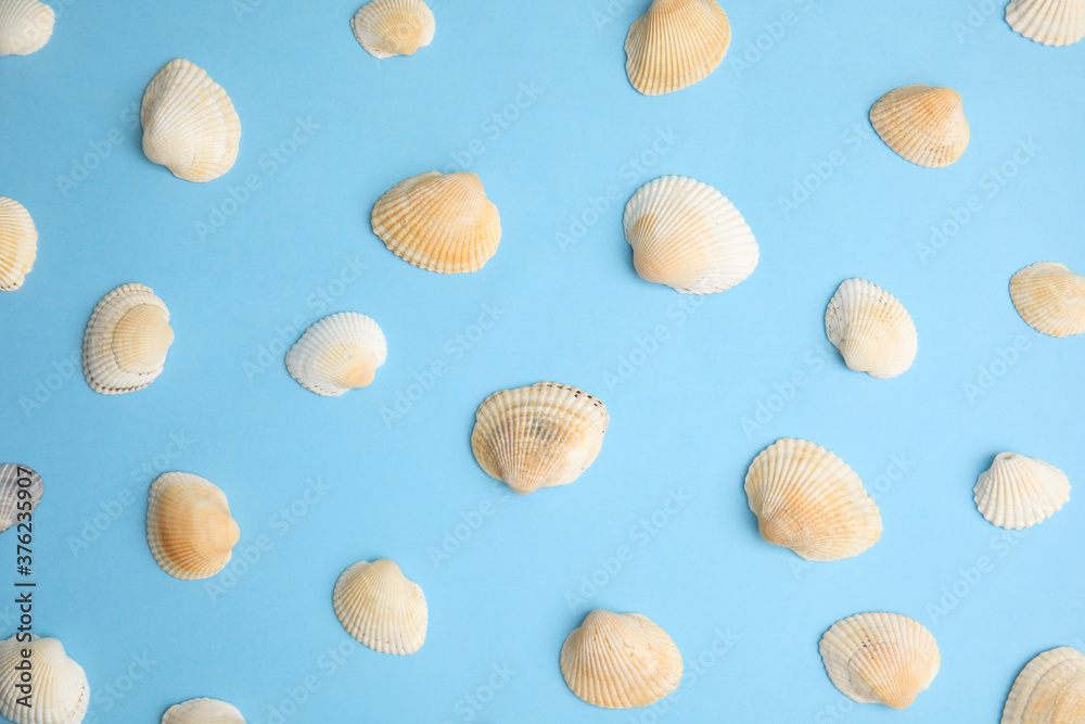 Different beautiful sea shells on light blue background, flat lay Different beautiful sea shells on light blue background, flat lay