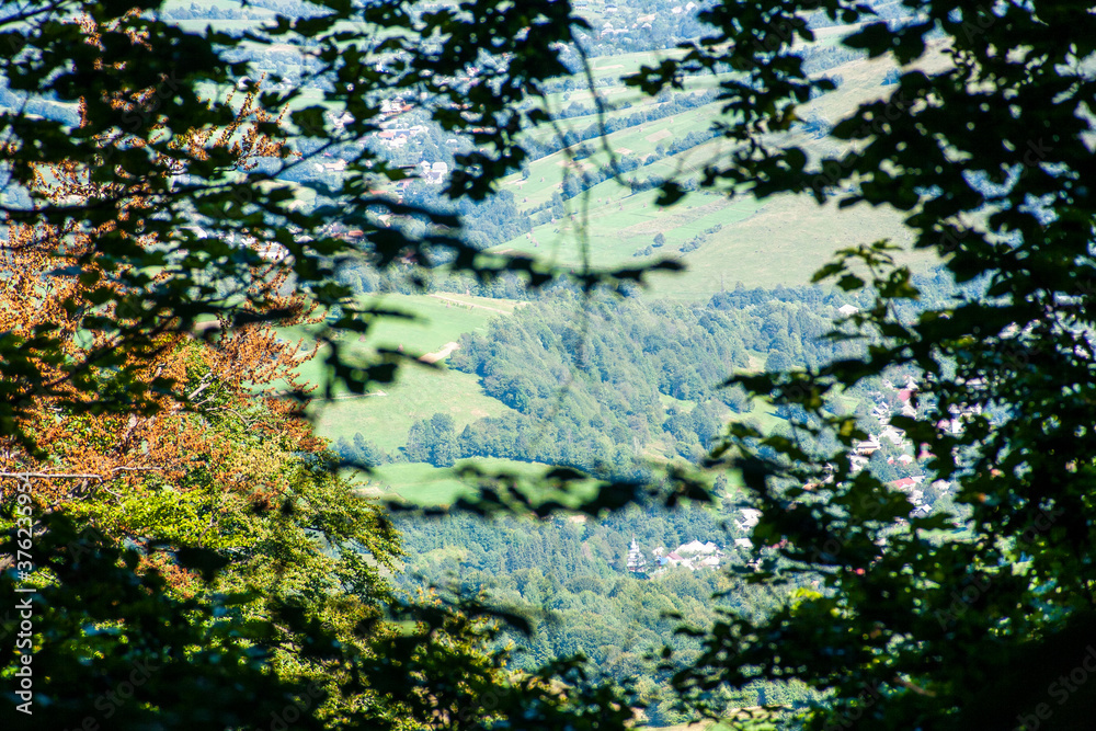 height through trees. view of a mountain village from the top of the mountain