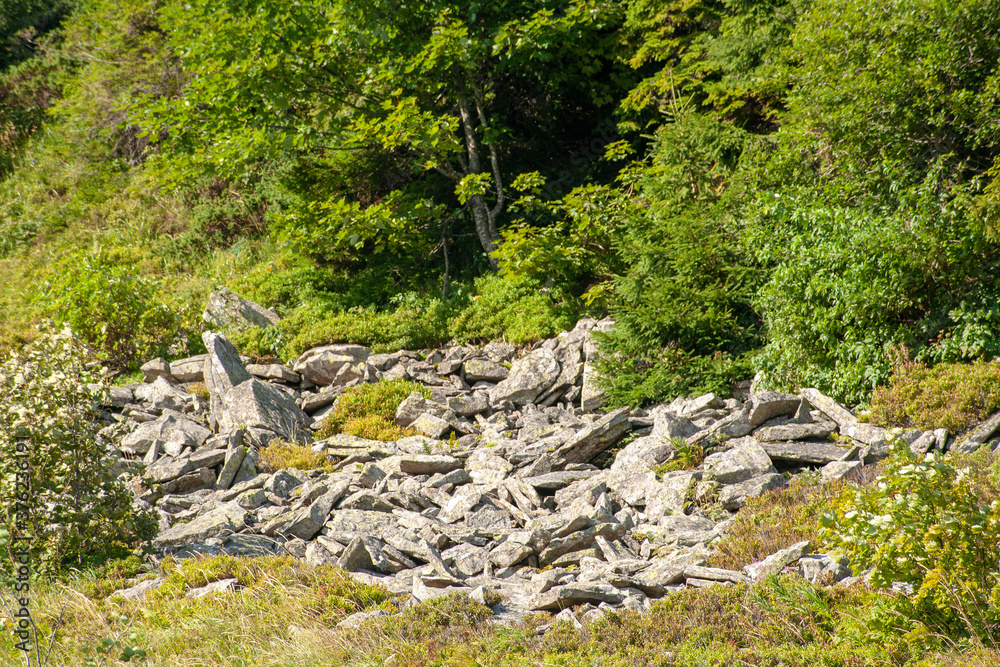 beautiful stones in the summer carpathians. beautiful stones in the forest beautiful stones in the summer carpathians. beautiful stones in the forest