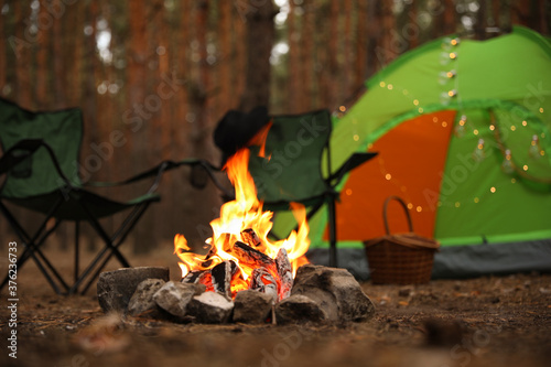 Fotografia, Obraz Beautiful bonfire with burning firewood near camping tent in forest