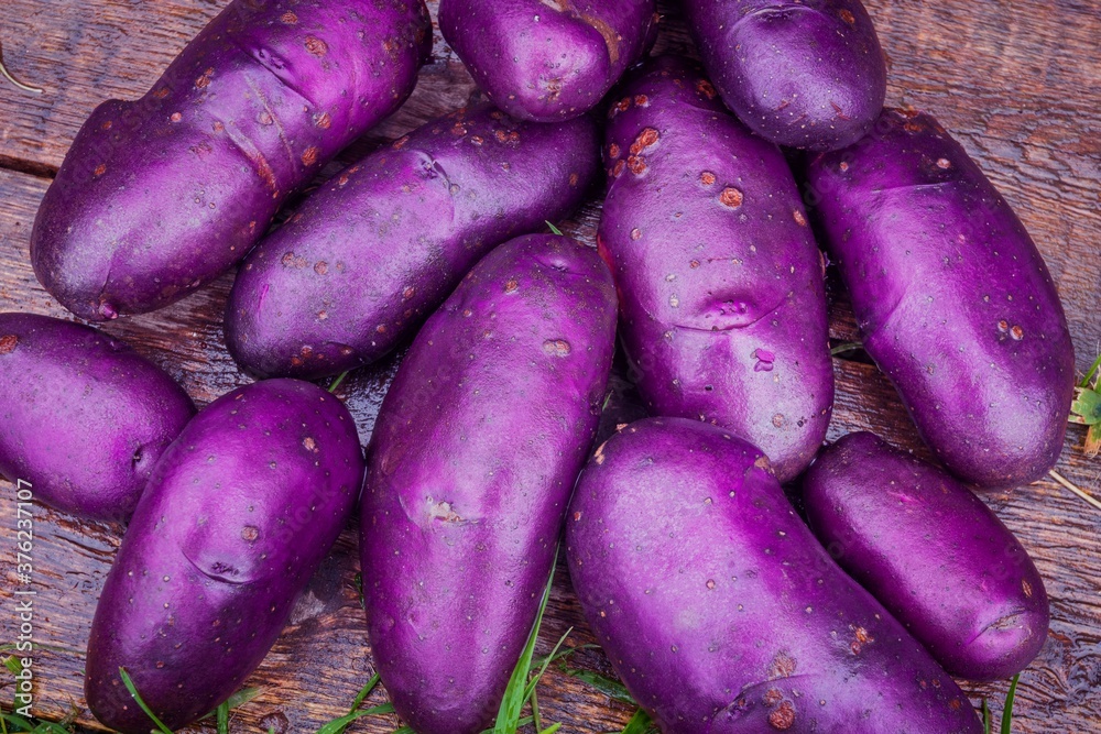 Purple potatoes close-up on a wooden background Purple potatoes close-up on a wooden background